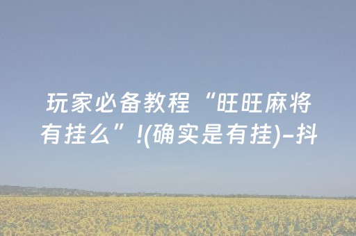 玩家必备教程“旺旺麻将有挂么”!(确实是有挂)-抖音
