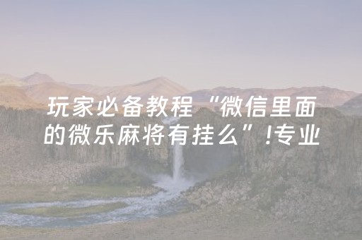 玩家必备教程“微信里面的微乐麻将有挂么”!专业师傅带你一起了解（详细教程）-抖音