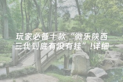 玩家必备十款“微乐陕西三代到底有没有挂”!详细开挂教程-抖音