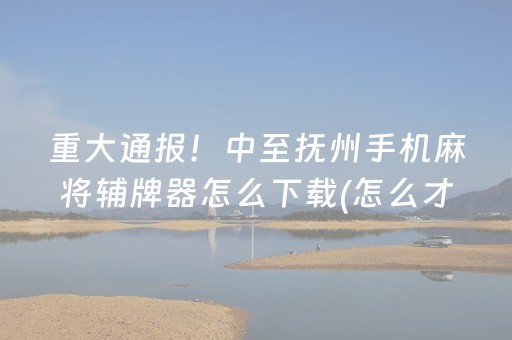 重大通报！中至抚州手机麻将辅牌器怎么下载(怎么才能常赢)
