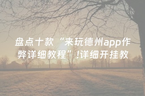 盘点十款“来玩德州app作弊详细教程”!详细开挂教程-抖音