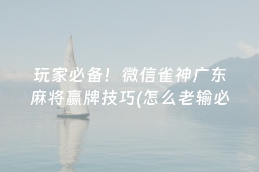 玩家必备！微信雀神广东麻将赢牌技巧(怎么老输必备神器)