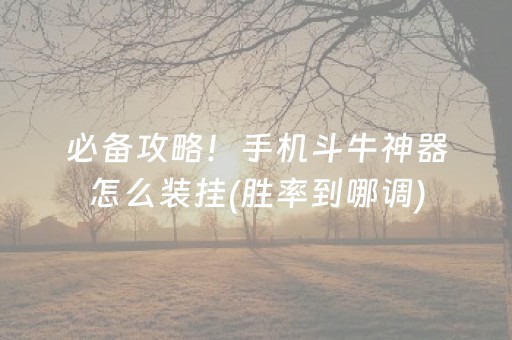 必备攻略！手机斗牛神器怎么装挂(胜率到哪调)