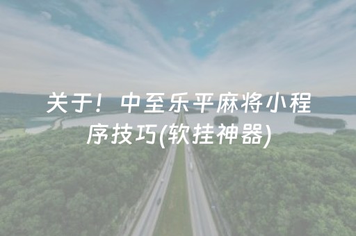 关于！中至乐平麻将小程序技巧(软挂神器)