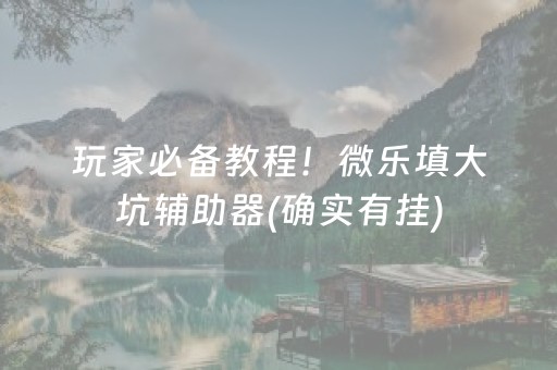 玩家必备教程！微乐填大坑辅助器(确实有挂)