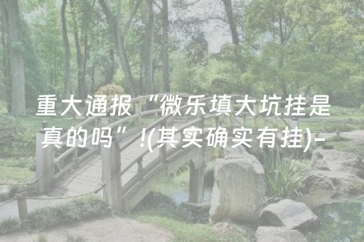 重大通报“微乐填大坑挂是真的吗”!(其实确实有挂)-抖音