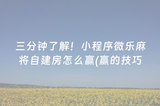 三分钟了解！小程序微乐麻将自建房怎么赢(赢的技巧提高胜率)