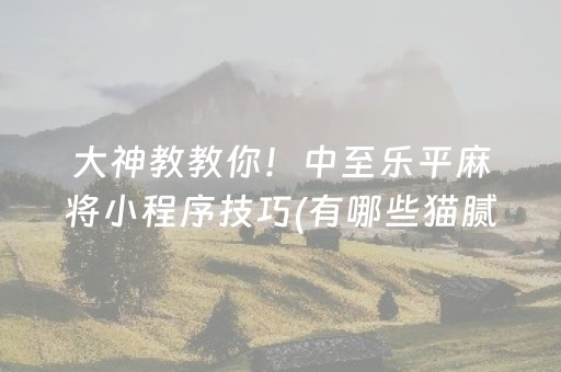 大神教教你！中至乐平麻将小程序技巧(有哪些猫腻)