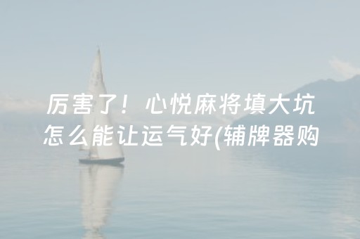 厉害了！心悦麻将填大坑怎么能让运气好(辅牌器购买)