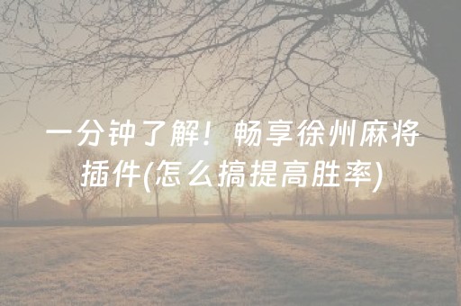 一分钟了解！畅享徐州麻将插件(怎么搞提高胜率)