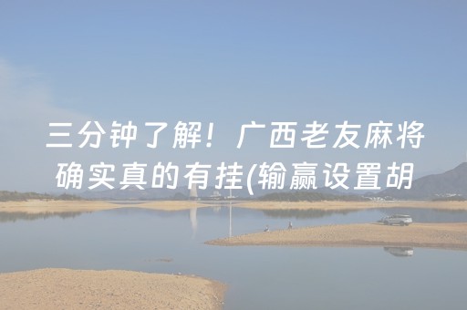 三分钟了解！广西老友麻将确实真的有挂(输赢设置胡牌规律)