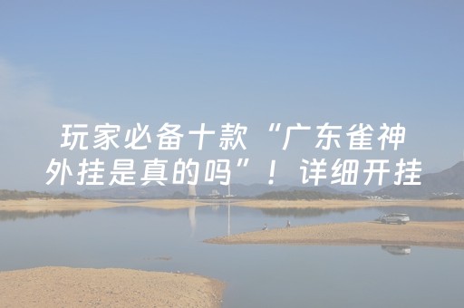 玩家必备十款“广东雀神外挂是真的吗”！详细开挂教程（确实真的有挂)-抖音