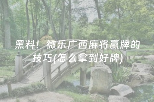 黑料！微乐广西麻将赢牌的技巧(怎么拿到好牌)