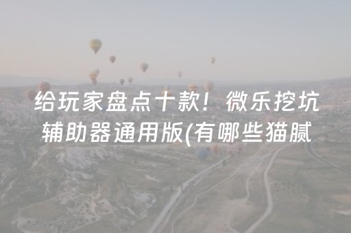 给玩家盘点十款！微乐挖坑辅助器通用版(有哪些猫腻)