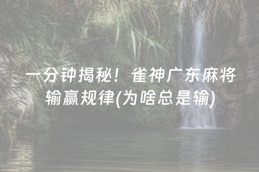 一分钟揭秘！雀神广东麻将输赢规律(为啥总是输)