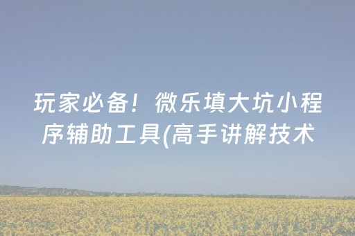 玩家必备！微乐填大坑小程序辅助工具(高手讲解技术)