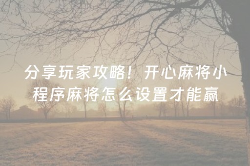 分享玩家攻略！开心麻将小程序麻将怎么设置才能赢(怎么提高胡牌率)