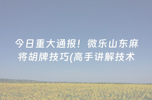 今日重大通报！微乐山东麻将胡牌技巧(高手讲解技术)