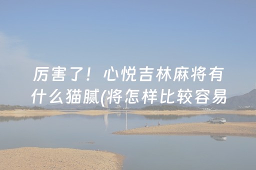厉害了！心悦吉林麻将有什么猫腻(将怎样比较容易赢)