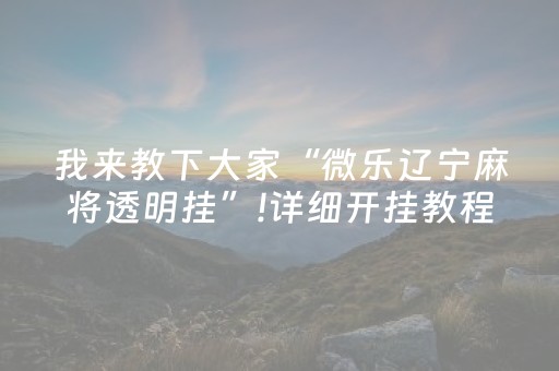 3分钟学会“吉祥填大坑辅助透视（专用辅牌神器免安装）
