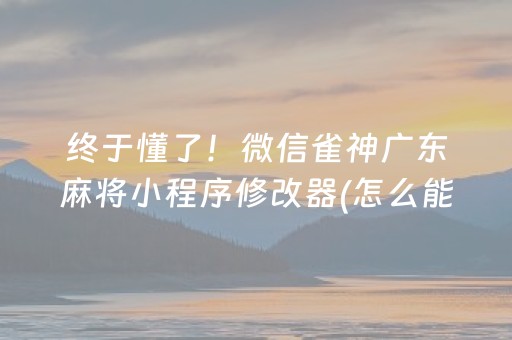 终于懂了！微信雀神广东麻将小程序修改器(怎么能拿好牌)