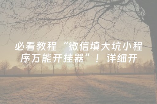 必看教程“微信填大坑小程序万能开挂器”！详细开挂教程（确实真的有挂)-抖音