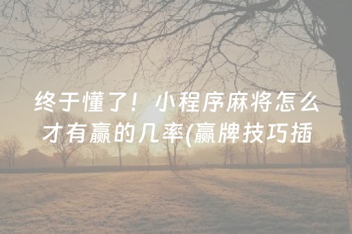 终于懂了！小程序麻将怎么才有赢的几率(赢牌技巧插件安装)
