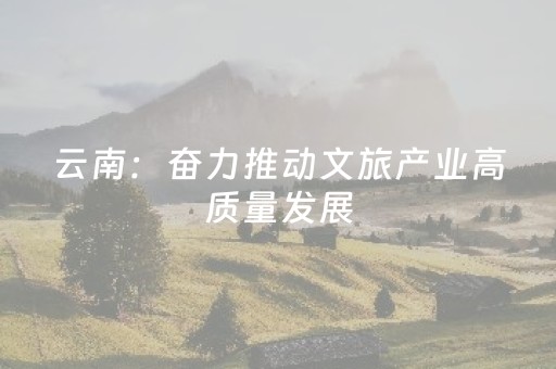 云南：奋力推动文旅产业高质量发展