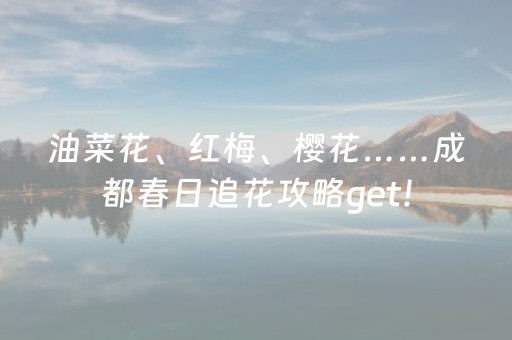 教程辅助“手机打麻将神器只赢不输神器（专用辅牌神器免安装）