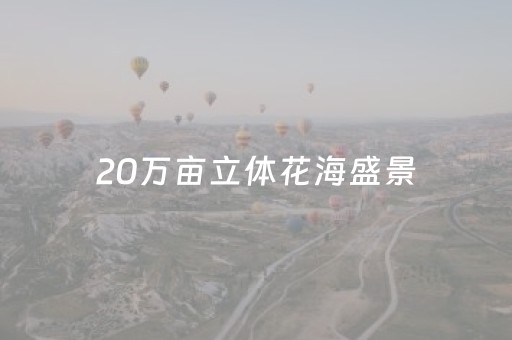 3分钟学会“吉祥麻将铺牌器购买（专用辅牌神器免安装）