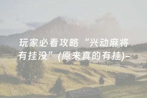 玩家必看攻略“兴动麻将有挂没”(原来真的有挂)-抖音