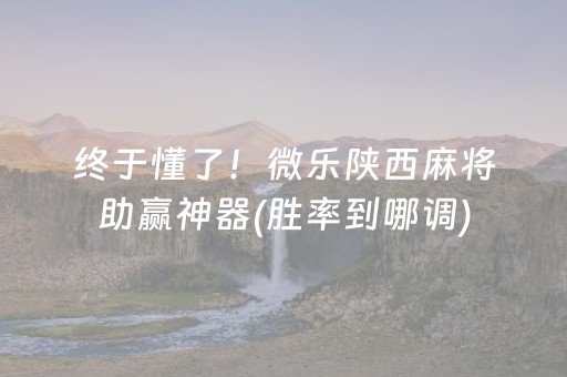 终于懂了！微乐陕西麻将助赢神器(胜率到哪调)