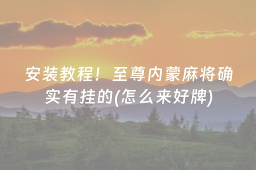 安装教程！至尊内蒙麻将确实有挂的(怎么来好牌)