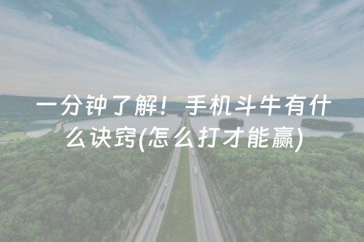 一分钟了解！手机斗牛有什么诀窍(怎么打才能赢)