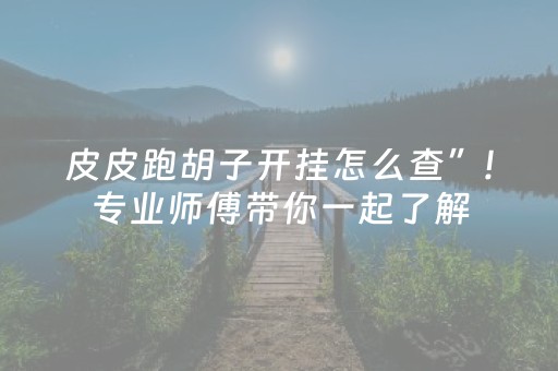 皮皮跑胡子开挂怎么查”!专业师傅带你一起了解（详细教程）-抖音