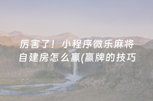 厉害了！小程序微乐麻将自建房怎么赢(赢牌的技巧)