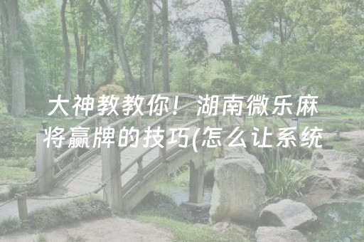 大神教教你！湖南微乐麻将赢牌的技巧(怎么让系统给你发好牌)