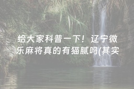 给大家科普一下！辽宁微乐麻将真的有猫腻吗(其实真的有挂)