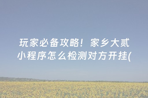玩家必备攻略！家乡大贰小程序怎么检测对方开挂(怎么才能调胜率)