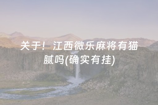 关于！江西微乐麻将有猫腻吗(确实有挂)