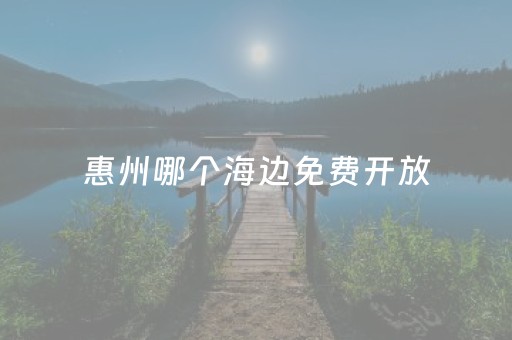 惠州哪个海边免费开放（惠州免费赶海最佳地点）