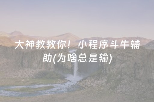 大神教教你！小程序斗牛辅助(为啥总是输)