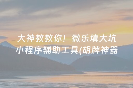 大神教教你！微乐填大坑小程序辅助工具(胡牌神器有猫腻吗)