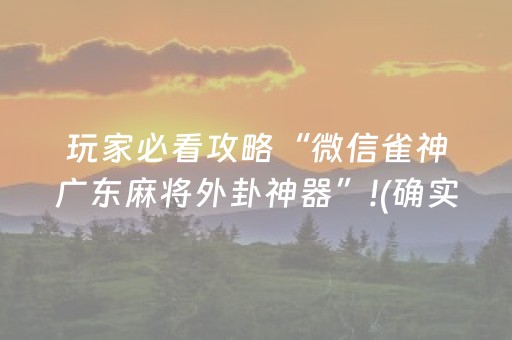 玩家必看攻略“微信雀神广东麻将外卦神器”!(确实是有挂)-抖音