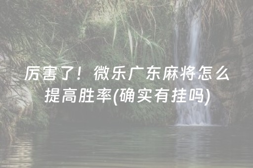 厉害了！微乐广东麻将怎么提高胜率(确实有挂吗)