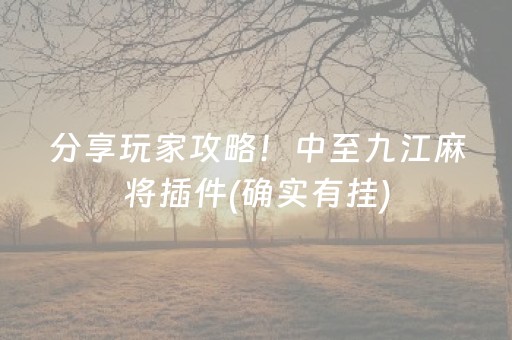 分享玩家攻略！中至九江麻将插件(确实有挂)