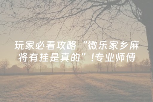 玩家必看攻略“微乐家乡麻将有挂是真的”!专业师傅带你一起了解（详细教程）-抖音