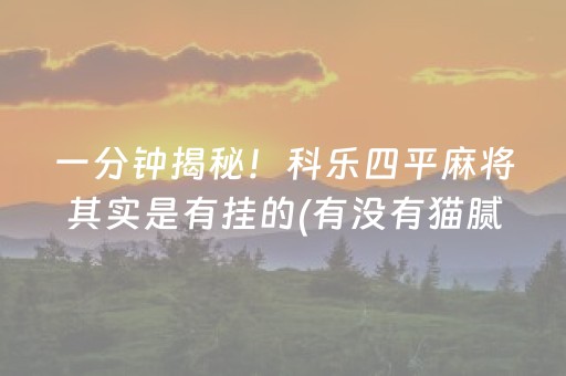 一分钟揭秘！科乐四平麻将其实是有挂的(有没有猫腻)