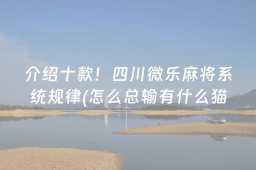 介绍十款！四川微乐麻将系统规律(怎么总输有什么猫腻)