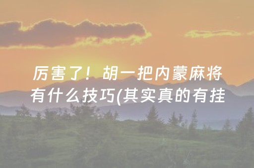 玩家必备教程“微乐插件下载（助赢神器通用版）